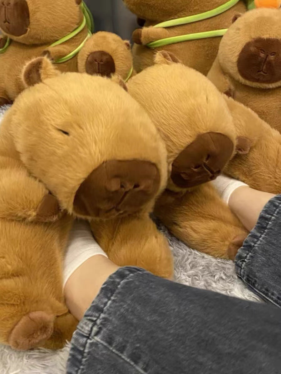 Capybara Cotton Bear Slippers Plush & Cartoon Characters Look