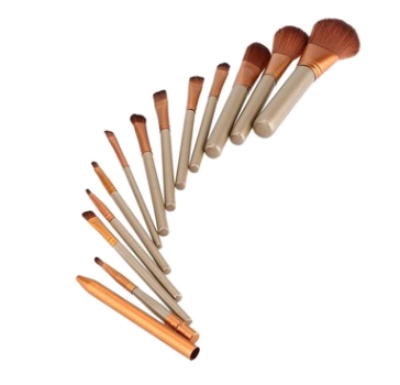 12-Piece Makeup Brush Set with Iron Box - Professional Tools