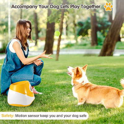 Automatic Throwing Machine  Pet Outdoor Toy Ball Dog Tennis Launcher  Dog Walking Tool