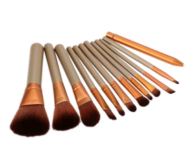 12-Piece Makeup Brush Set with Iron Box - Professional Tools